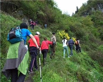 成都透水地坪公司 成都透水地坪公司