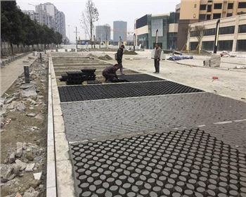 植草地坪 植草地坪
