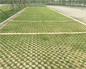 成都植草混凝土 成都植草混凝土