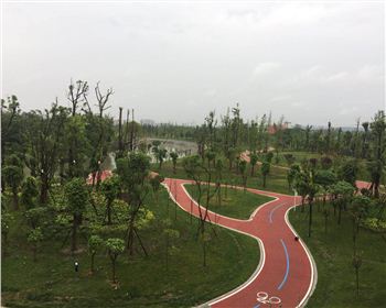 遂寧透水混凝土 遂寧透水混凝土