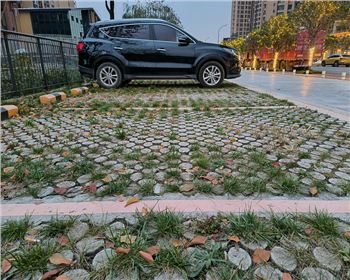 四川高承載植草混凝土 四川高承載植草混凝土