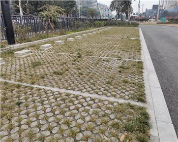 四川生態(tài)植草混凝土 四川生態(tài)植草混凝土