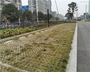 四川植草地坪 四川植草地坪