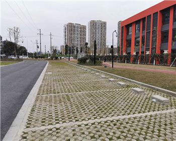 四川植草地坪安裝完工效果呈現(xiàn) 四川植草地坪安裝完工效果呈現(xiàn)